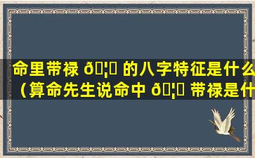 命里带禄 🦊 的八字特征是什么（算命先生说命中 🦆 带禄是什么意思）